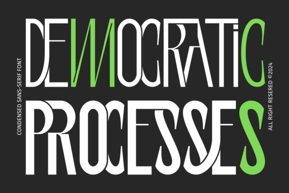 Democratic Processes: A Dynamic Sans Serif for Modern Web Design
