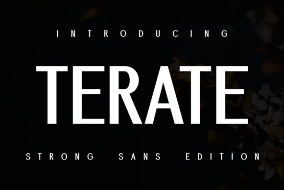 Demore Terate: A Resolute Typeface for Editorial Excellence