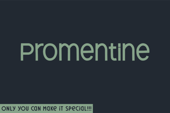 Promentine: A Handwritten Font That Elevates Web Design